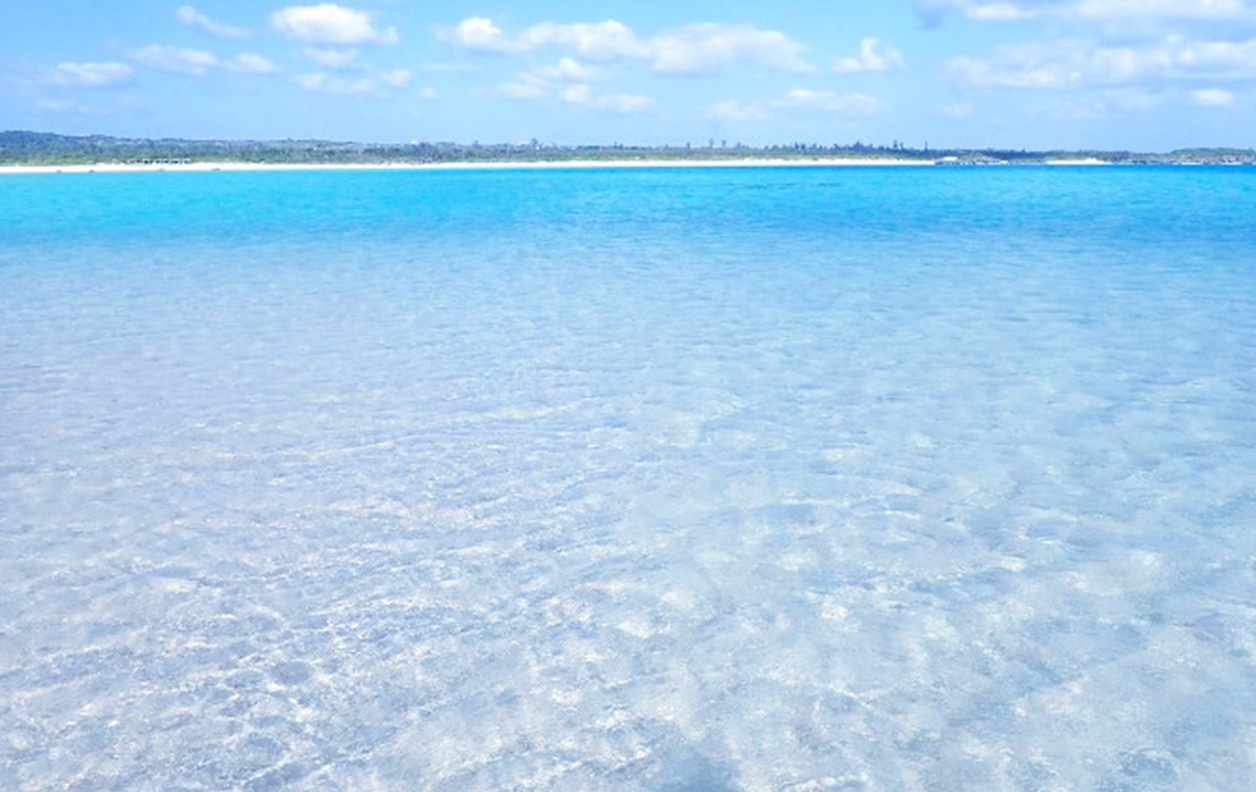 海とかもめ部とは 海とかもめ部