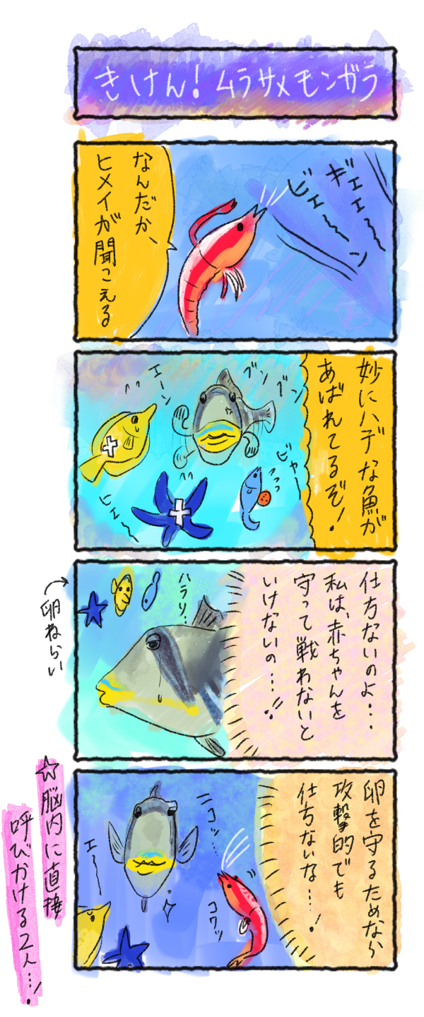 きけん ムラサメモンガラ 海とかもめ部