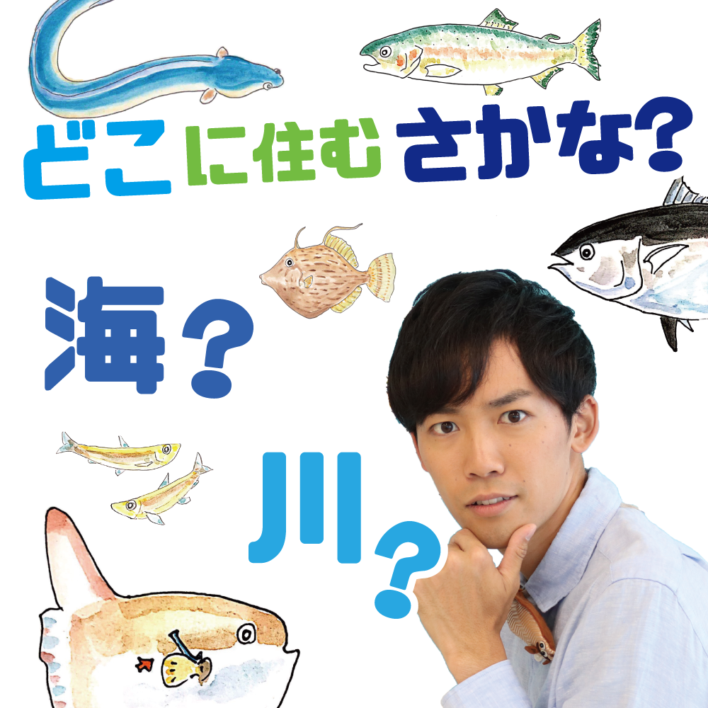 歌ってみた 海 川 さかなの住むとこ早覚え歌 海とかもめ部