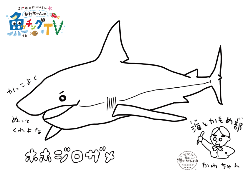 お絵描き教室 サメのイラストがうまくなる サメの解説つきレッスン 海とかもめ部